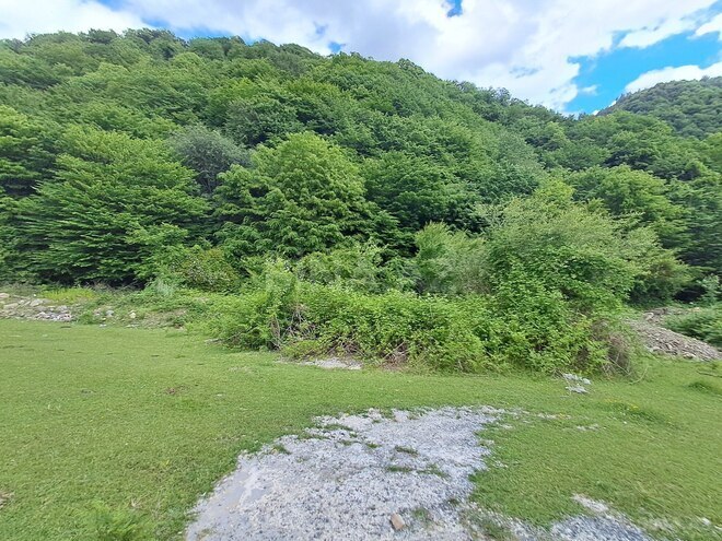 Satılır  torpaq 42 sot, photo 14 from 16