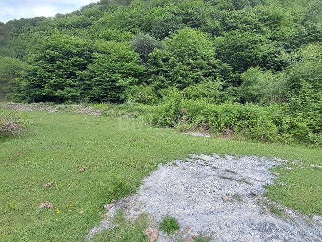 Satılır  torpaq 42 sot, photo 9 from 16