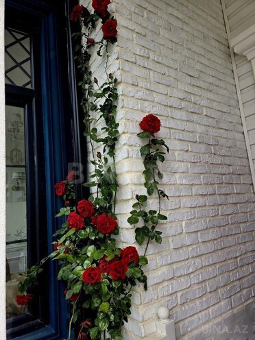 Satılır 7 otaqlı həyət evi/bağ evi 333 m², Badamdar q., photo 8 from 22