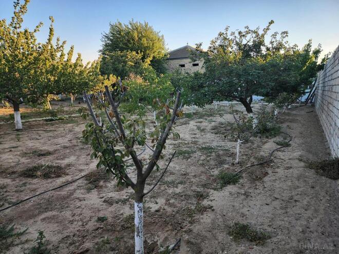 Satılır  torpaq 12 sot, Xəzər r., photo 1 from 13
