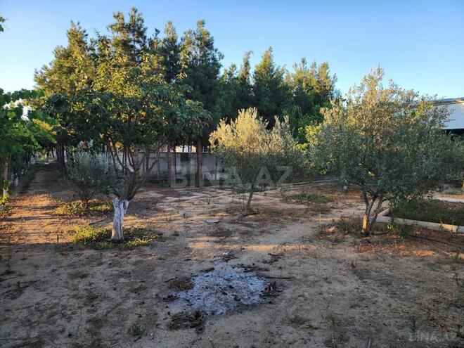 Satılır  torpaq 12 sot, Xəzər r., photo 6 from 13