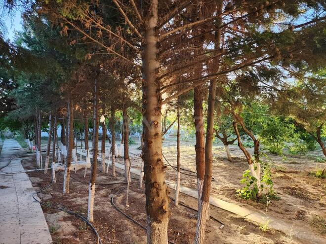 Satılır  torpaq 12 sot, Xəzər r., photo 9 from 13