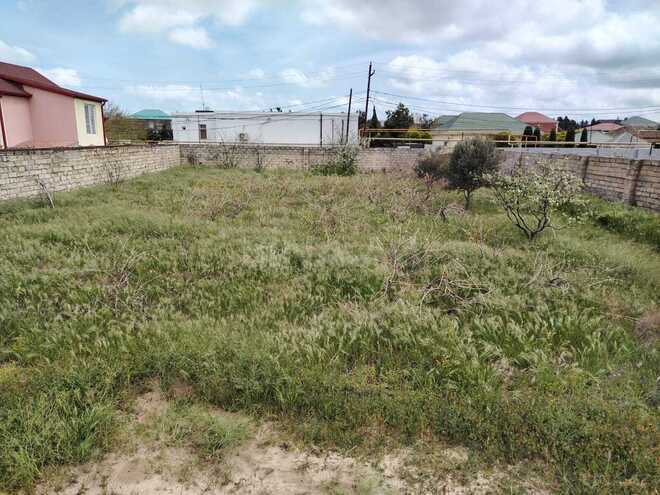 Satılır  torpaq 27 sot, Bilgəh q., photo 4 from 7