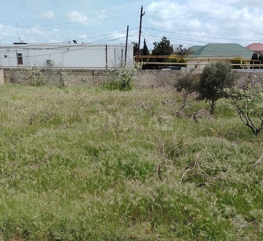 Satılır  torpaq 27 sot, Bilgəh q., photo 6 from 7