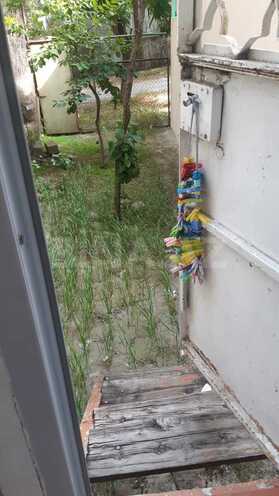 İcarəyə verilir 2 otaqlı köhnə tikili 55 m², Memar Əcəmi m., photo 5 from 10