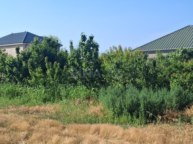 Satılır  torpaq 16 sot, Görədil q., photo 6 from 12