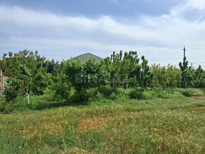 Satılır  torpaq 16 sot, Görədil q., photo 11 from 12