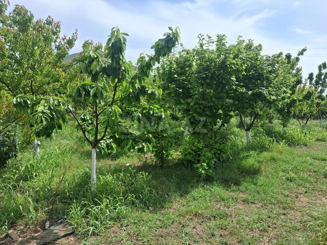 Satılır  torpaq 16 sot, Görədil q., photo 1 from 12