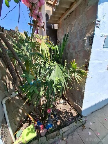Satılır 1 otaqlı həyət evi/bağ evi 40 m², Abşeron r., photo 14 from 15
