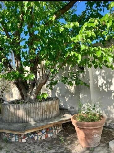Satılır 3 otaqlı həyət evi/bağ evi 90 m², Pirşağı q., photo 18 from 31