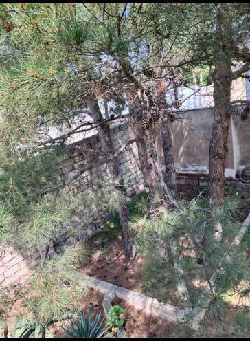Satılır 3 otaqlı həyət evi/bağ evi 90 m², Pirşağı q., photo 21 from 31