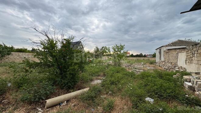 Satılır  torpaq 10 sot, Novxanı q., photo 8 from 10