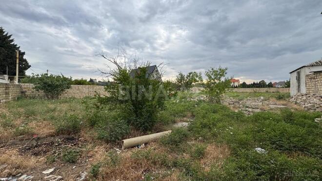 Satılır  torpaq 10 sot, Novxanı q., photo 7 from 10
