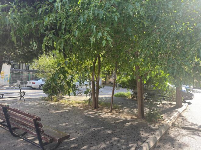 Satılır 3 otaqlı köhnə tikili 69 m², Xalqlar Dostluğu m., photo 28 from 30