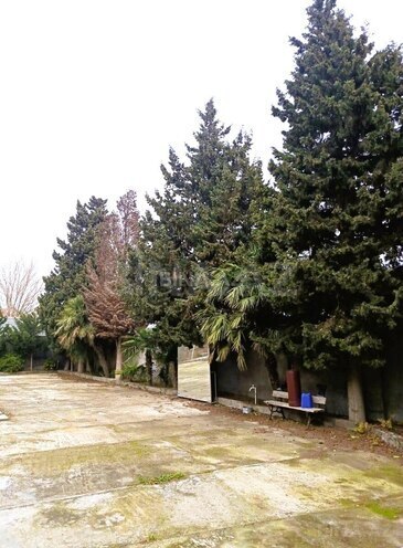 Satılır  torpaq 8 sot, Mərdəkan q., photo 1 from 4