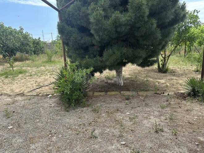 Продаётся  участок 15 сот, пос. Дюбенди, photo 5 from 14
