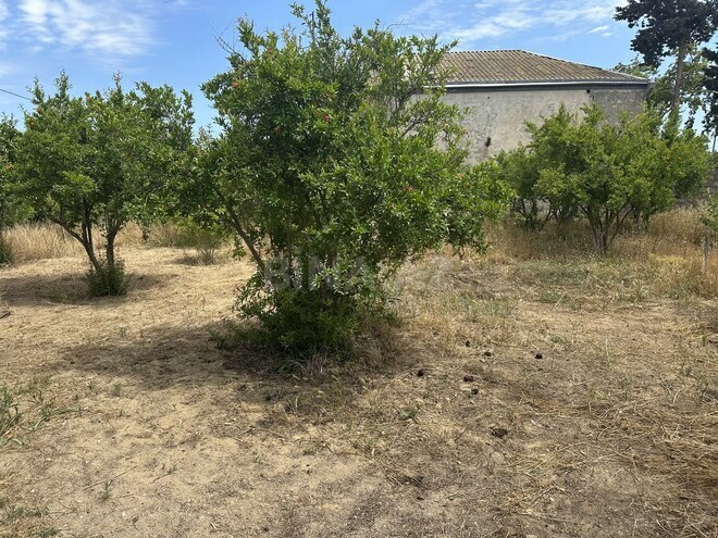 Продаётся  участок 15 сот, пос. Дюбенди, photo 11 from 14