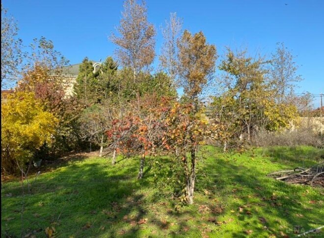 Satılır  torpaq 16 sot, Pirşağı q., photo 4 from 6