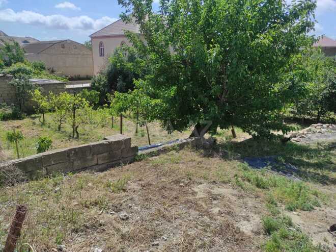 Satılır  torpaq 10 sot, Saray q., photo 1 from 8
