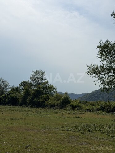 Продаётся  участок 75 сот, photo 5 from 13
