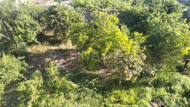 İcarəyə verilir  obyekt 437 m², photo 14 from 17