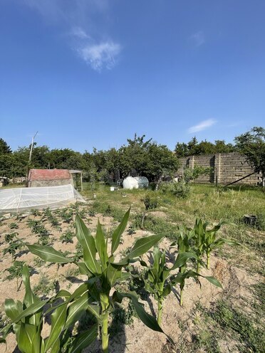 Satılır  torpaq 5.5 sot, Novxanı q., photo 7 from 11