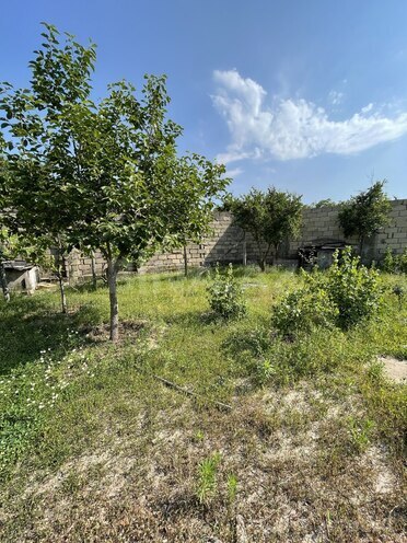 Satılır  torpaq 5.5 sot, Novxanı q., photo 9 from 11