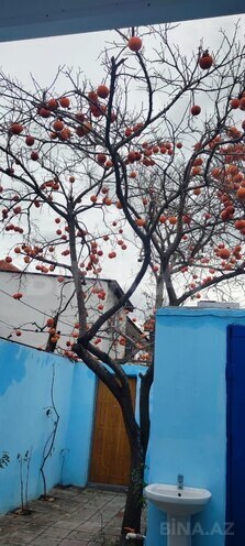 Satılır 3 otaqlı həyət evi/bağ evi 70 m², Sabunçu q., photo 5 from 23
