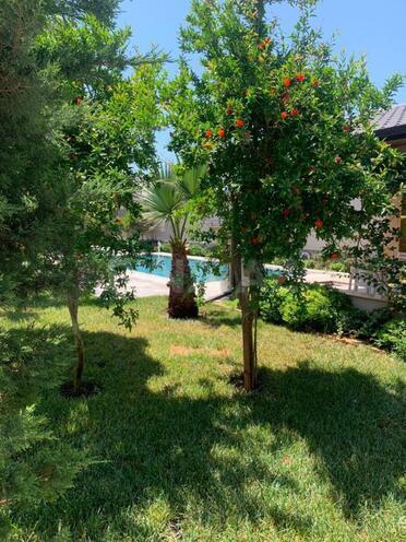 İcarəyə verilir 7 otaqlı həyət evi/bağ evi 300 m², Şüvəlan q., photo 14 from 25