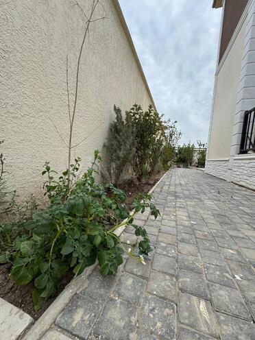 Satılır 5 otaqlı həyət evi/bağ evi 200 m², Albalılıq q., photo 11 from 29