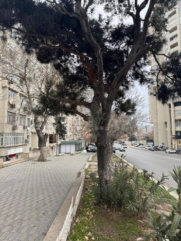 Satılır 2 otaqlı köhnə tikili 65 m², Nəsimi r., photo 4 from 13