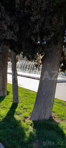 İcarəyə verilir 2 otaqlı köhnə tikili 80 m², Sahil m., photo 14 from 16