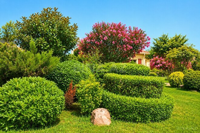 Satılır 9 otaqlı həyət evi/bağ evi 1 000 m², Bilgəh q., photo 5 from 32
