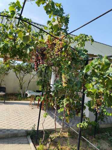 Satılır 5 otaqlı həyət evi/bağ evi 145 m², Zirə q., photo 30 from 32