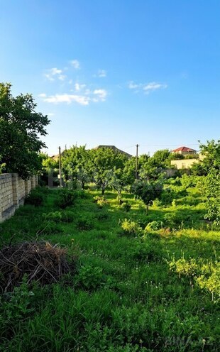 Satılır  torpaq 9 sot, Novxanı q., photo 1 from 6