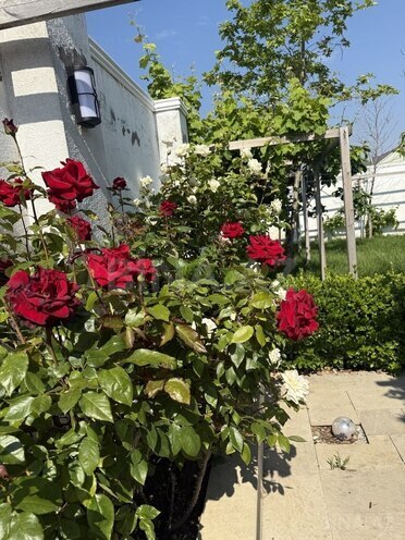 Satılır 4 otaqlı həyət evi/bağ evi 120 m², Novxanı q., photo 22 from 26