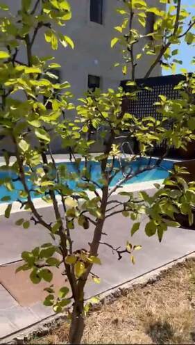 Продаётся 8-комн. дом/дача 400 м², пос. Новханы, photo 8 from 31