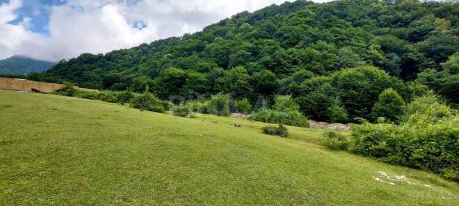 Satılır  torpaq 69 sot, photo 3 from 10
