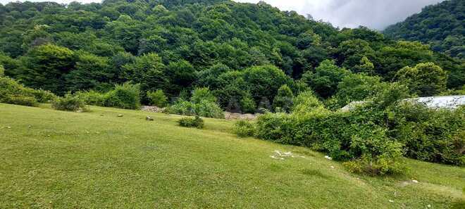 Satılır  torpaq 69 sot, photo 4 from 10