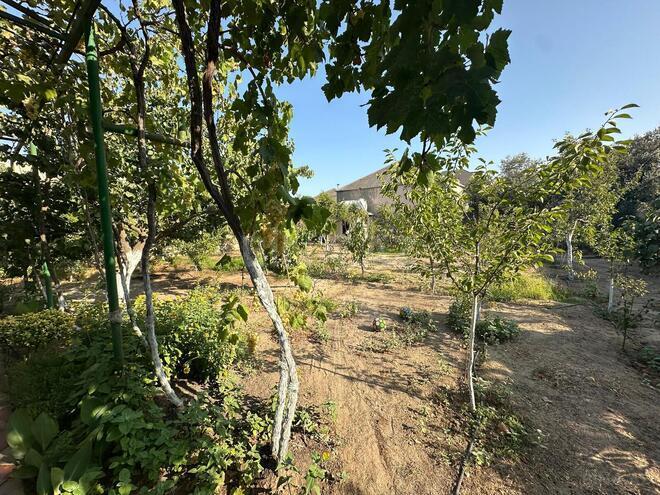 Satılır 5 otaqlı həyət evi/bağ evi 120 m², Binə q., photo 27 from 30
