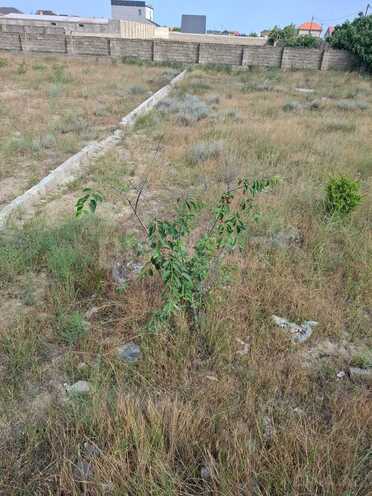 Satılır  torpaq 6 sot, Qala q., photo 6 from 7