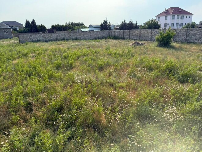 Satılır  torpaq 12 sot, Nardaran q., photo 5 from 7