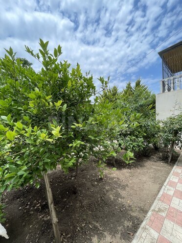 Satılır 6 otaqlı həyət evi/bağ evi 180 m², Novxanı q., photo 15 from 32