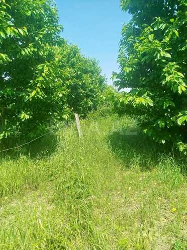 Продаётся 10-комн. дом/дача 1 000 м², photo 26 from 32