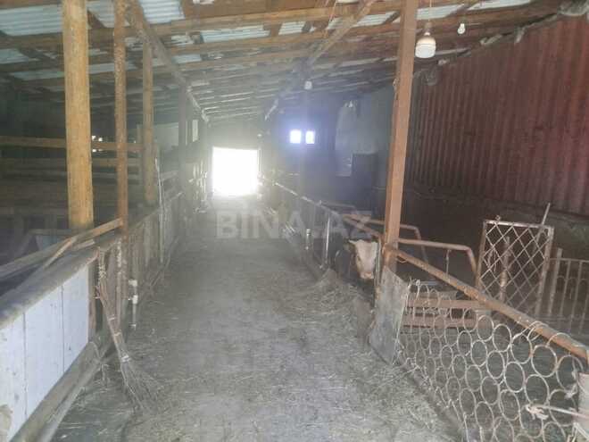 Продаётся 10-комн. дом/дача 1 000 м², photo 15 from 32