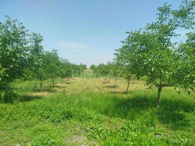Продаётся 10-комн. дом/дача 1 000 м², photo 29 from 32