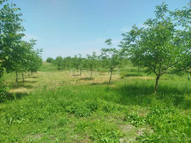 Продаётся 10-комн. дом/дача 1 000 м², photo 27 from 32
