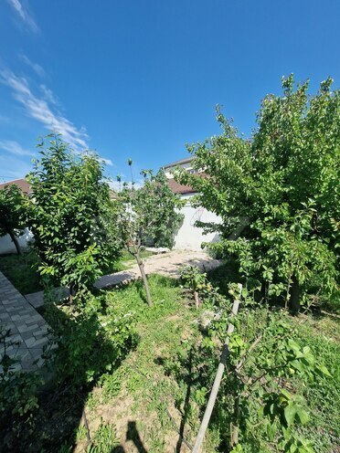 Satılır 7 otaqlı həyət evi/bağ evi 200 m², Zabrat q., photo 7 from 23