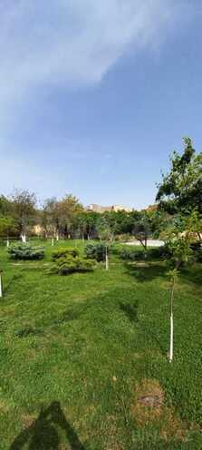 İcarəyə verilir 8 otaqlı həyət evi/bağ evi 220 m², Novxanı q., photo 4 from 26