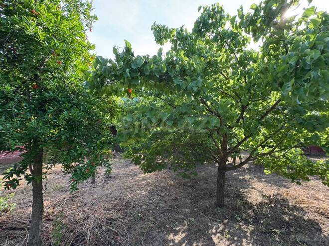 Продаётся  участок 12 сот, пос. Мардакан, photo 12 from 27